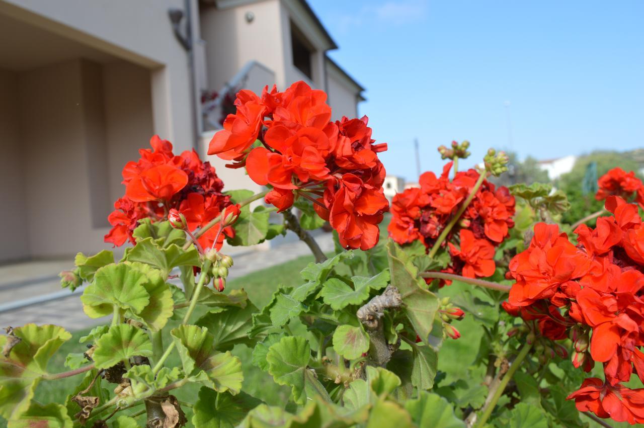 Guest Rooms Affittacamere San Teodoro  Exterior photo